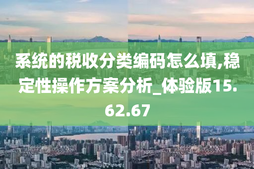 系统的税收分类编码怎么填,稳定性操作方案分析_体验版15.62.67