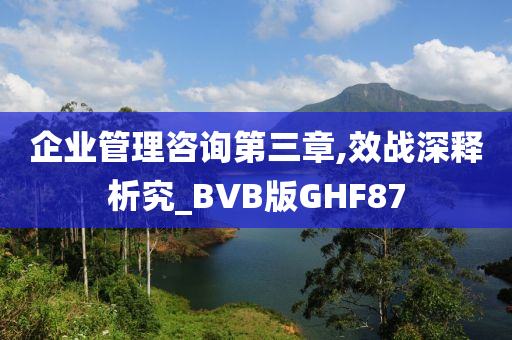 企业管理咨询第三章,效战深释析究_BVB版GHF87