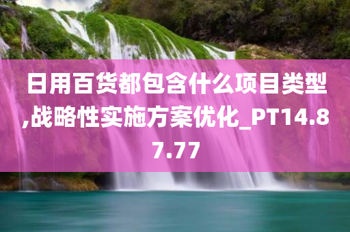 日用百货都包含什么项目类型,战略性实施方案优化_PT14.87.77