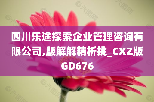 四川乐途探索企业管理咨询有限公司,版解解精析挑_CXZ版GD676