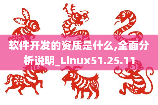 软件开发的资质是什么,全面分析说明_Linux51.25.11