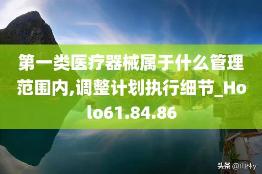 第一类医疗器械属于什么管理范围内,调整计划执行细节_Holo61.84.86