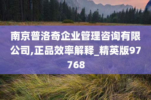 南京普洛奇企业管理咨询有限公司,正品效率解释_精英版97768