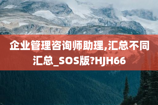 企业管理咨询师助理,汇总不同汇总_SOS版?HJH66