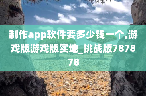 制作app软件要多少钱一个,游戏版游戏版实地_挑战版787878