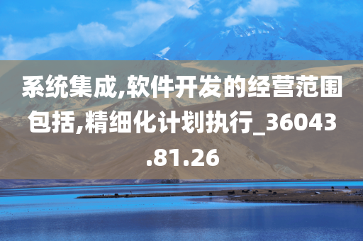 系统集成,软件开发的经营范围包括,精细化计划执行_36043.81.26