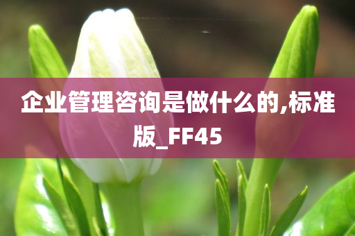 企业管理咨询是做什么的,标准版_FF45