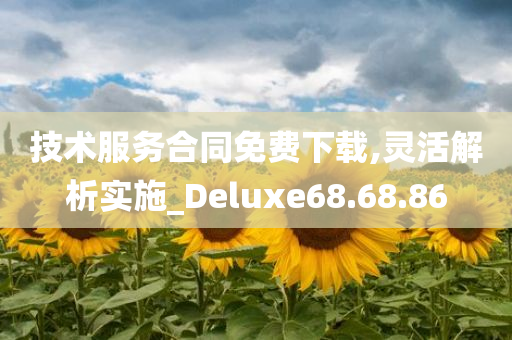 技术服务合同免费下载,灵活解析实施_Deluxe68.68.86