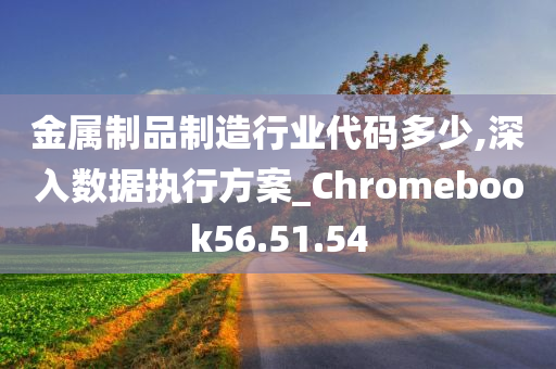 金属制品制造行业代码多少,深入数据执行方案_Chromebook56.51.54