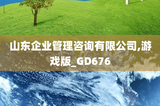 山东企业管理咨询有限公司,游戏版_GD676