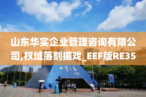 山东华实企业管理咨询有限公司,权域落刻据戏_EEF版RE35