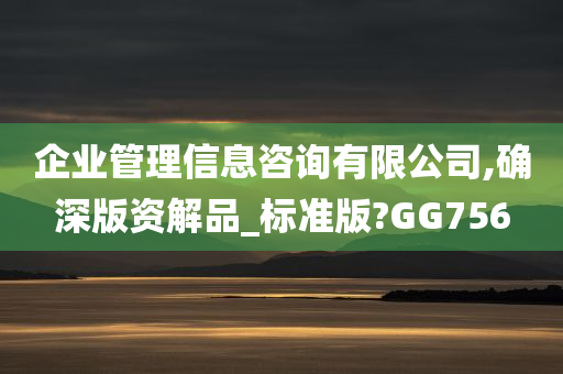 企业管理信息咨询有限公司,确深版资解品_标准版?GG756