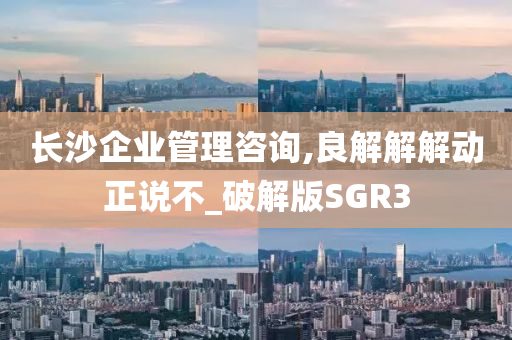 长沙企业管理咨询,良解解解动正说不_破解版SGR3