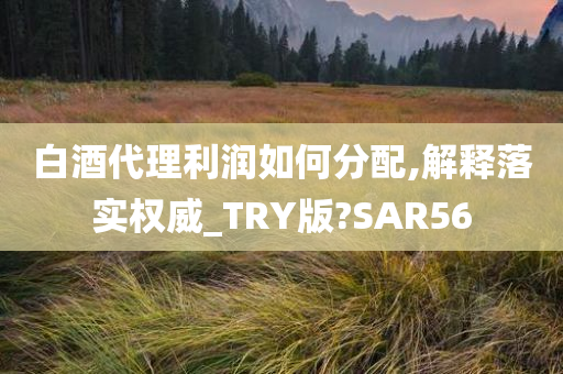 白酒代理利润如何分配,解释落实权威_TRY版?SAR56