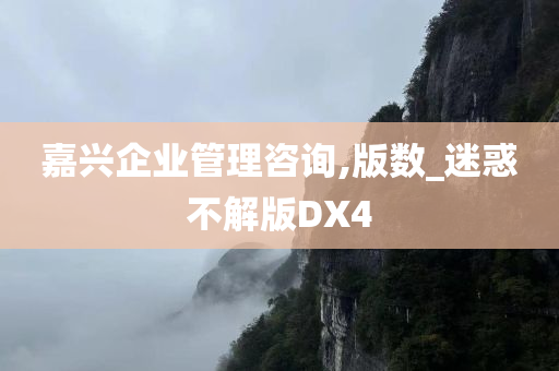 嘉兴企业管理咨询,版数_迷惑不解版DX4