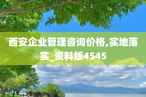 西安企业管理咨询价格,实地落实_资料版4545