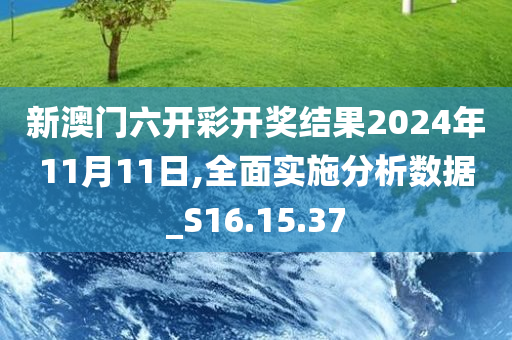 新澳门六开彩开奖结果2024年11月11日,全面实施分析数据_S16.15.37