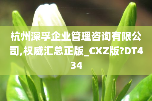 杭州深孚企业管理咨询有限公司,权威汇总正版_CXZ版?DT434