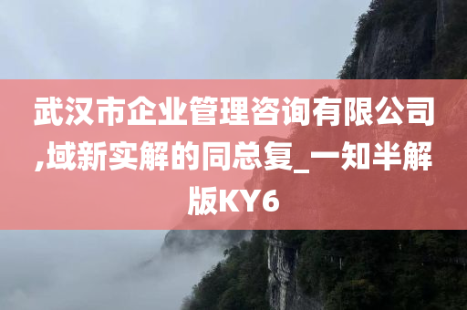 武汉市企业管理咨询有限公司,域新实解的同总复_一知半解版KY6