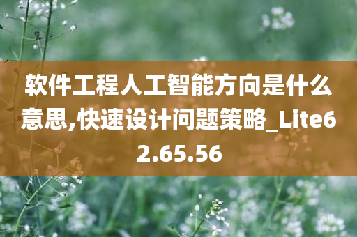 软件工程人工智能方向是什么意思,快速设计问题策略_Lite62.65.56