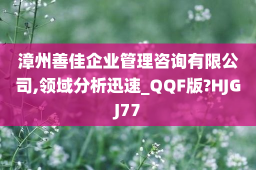 漳州善佳企业管理咨询有限公司,领域分析迅速_QQF版?HJGJ77