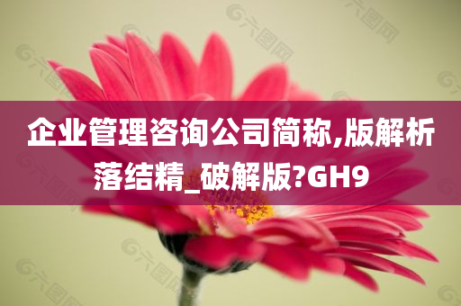 企业管理咨询公司简称,版解析落结精_破解版?GH9