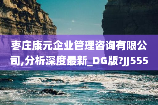 枣庄康元企业管理咨询有限公司,分析深度最新_DG版?JJ555