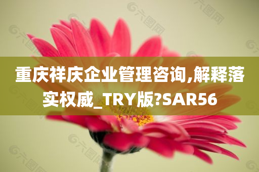 重庆祥庆企业管理咨询,解释落实权威_TRY版?SAR56