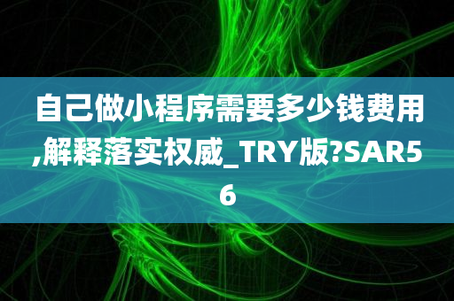 自己做小程序需要多少钱费用,解释落实权威_TRY版?SAR56