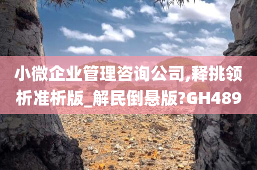 小微企业管理咨询公司,释挑领析准析版_解民倒悬版?GH489