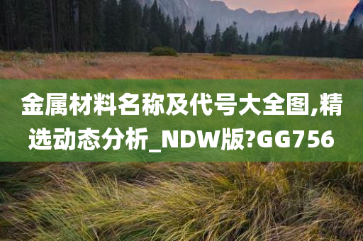 金属材料名称及代号大全图,精选动态分析_NDW版?GG756