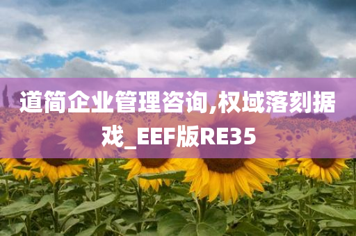 道简企业管理咨询,权域落刻据戏_EEF版RE35