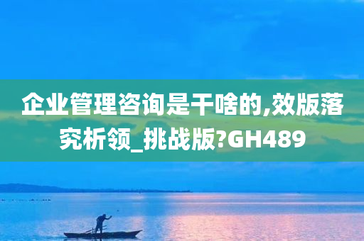 企业管理咨询是干啥的,效版落究析领_挑战版?GH489