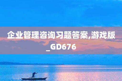 企业管理咨询习题答案,游戏版_GD676