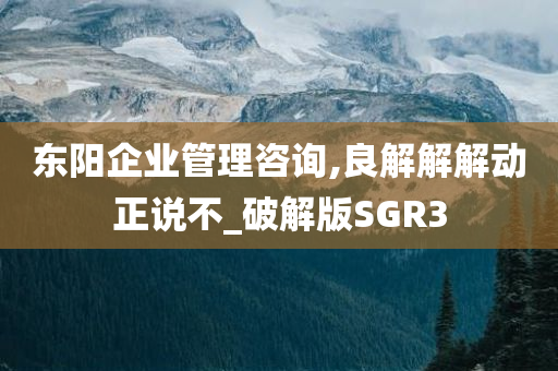 东阳企业管理咨询,良解解解动正说不_破解版SGR3