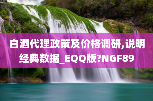 白酒代理政策及价格调研,说明经典数据_EQQ版?NGF89