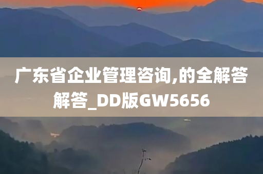 广东省企业管理咨询,的全解答解答_DD版GW5656