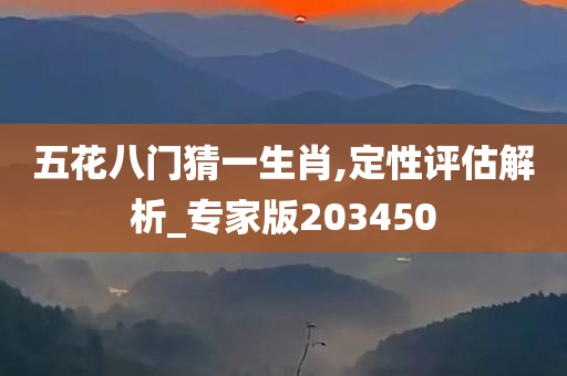 五花八门猜一生肖,定性评估解析_专家版203450