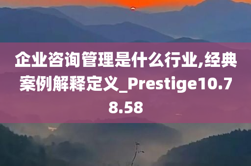 企业咨询管理是什么行业,经典案例解释定义_Prestige10.78.58