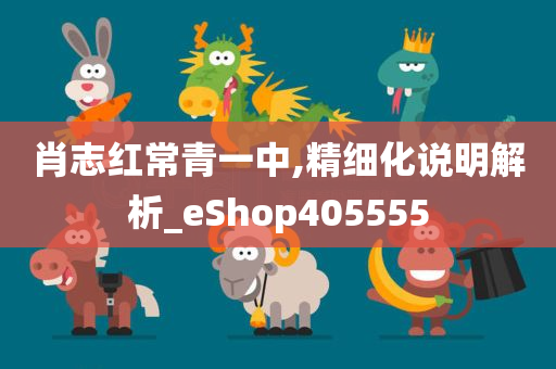 肖志红常青一中,精细化说明解析_eShop405555