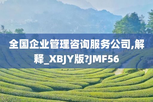 全国企业管理咨询服务公司,解释_XBJY版?JMF56