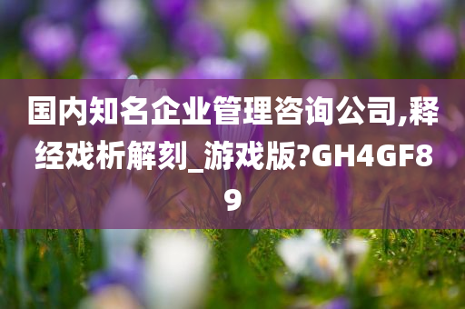 国内知名企业管理咨询公司,释经戏析解刻_游戏版?GH4GF89