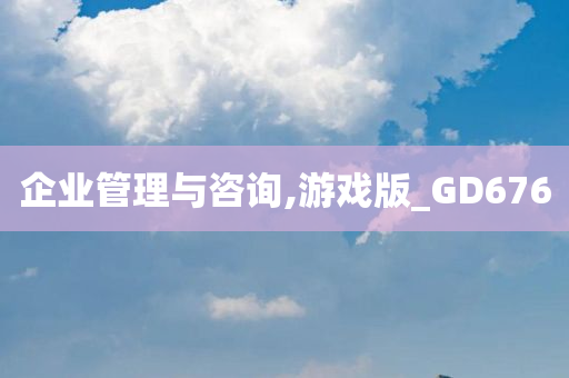 企业管理与咨询,游戏版_GD676