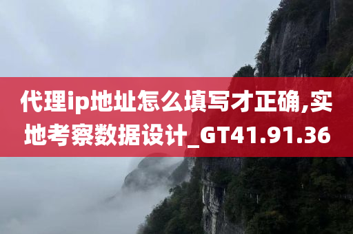 代理ip地址怎么填写才正确,实地考察数据设计_GT41.91.36