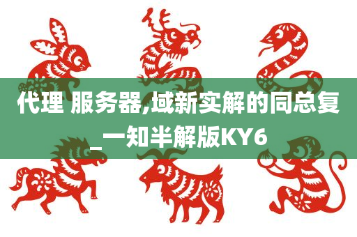 代理 服务器,域新实解的同总复_一知半解版KY6