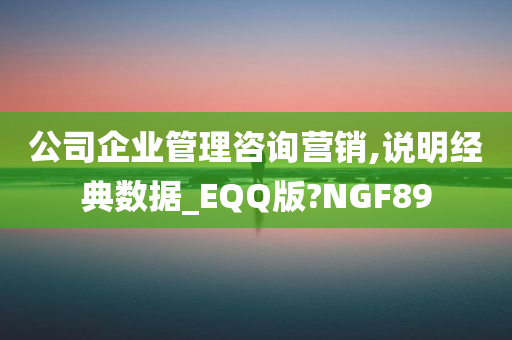 公司企业管理咨询营销,说明经典数据_EQQ版?NGF89