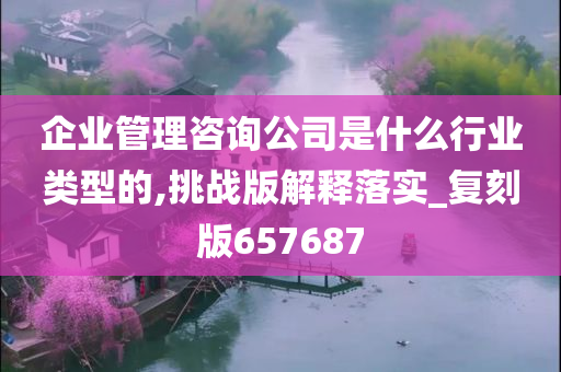 企业管理咨询公司是什么行业类型的,挑战版解释落实_复刻版657687