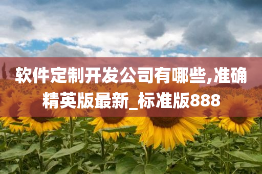 软件定制开发公司有哪些,准确精英版最新_标准版888