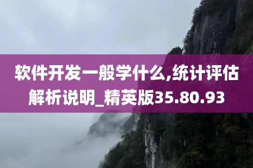 软件开发一般学什么,统计评估解析说明_精英版35.80.93