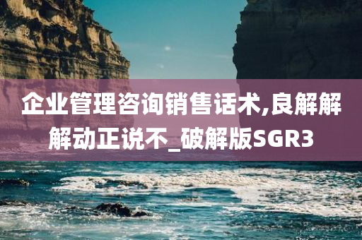 企业管理咨询销售话术,良解解解动正说不_破解版SGR3